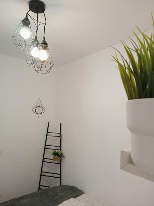 Precioso Apartamento Con Terraza En Piso Superior Los Realejos Dış mekan fotoğraf