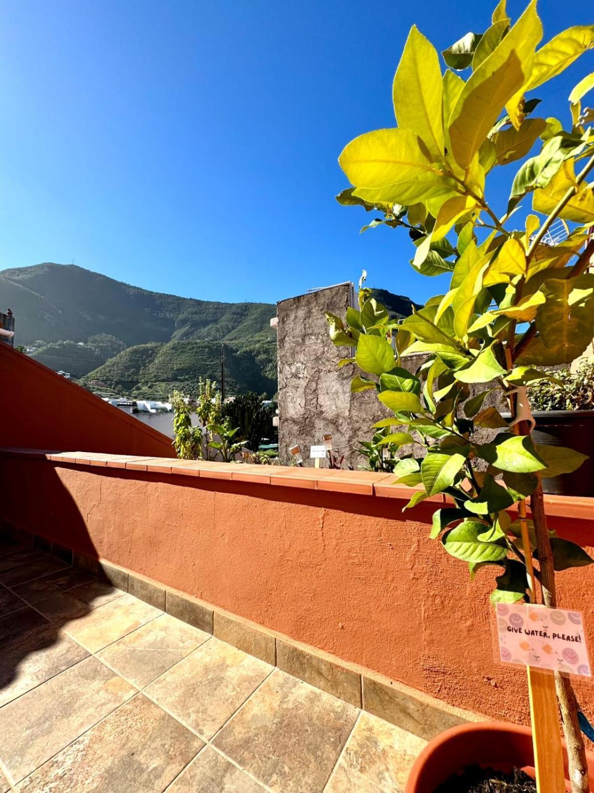 Precioso Apartamento Con Terraza En Piso Superior Los Realejos Dış mekan fotoğraf